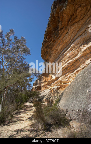 Wind erodiert Höhle in der Nähe von Anvil Rock und Grose Valley in der Nähe von Blackheath Blue Mountains New South Wales Australien Stockfoto