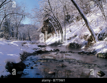 Richmond Federn, Rückgrat Staatspark, Delaware County, Iowa Stockfoto