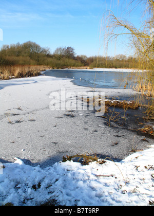 Martin Teich, Wollaton, Nottingham, England, Vereinigtes Königreich Stockfoto