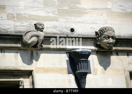 Katze und Elf Kopf Schnitzereien am Magdalen College, Oxford University, Oxford, Oxfordshire, Vereinigtes Königreich Stockfoto