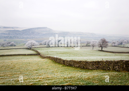 In Richtung Ivy Narbe an einem frostigen Tag Wensleydale Yorkshire Dales England Stockfoto