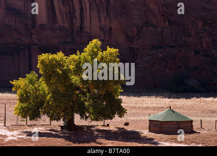 Navajo-Hogan Canyon de Chelly National Monument Arizona USA Stockfoto