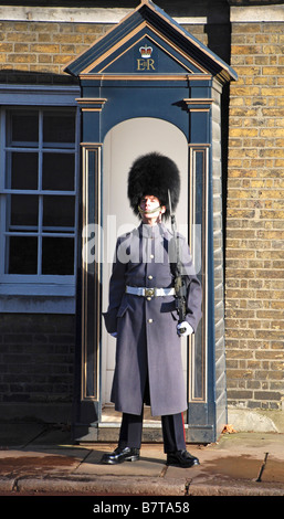 Coldstream Gardist im Dienst Stockfoto