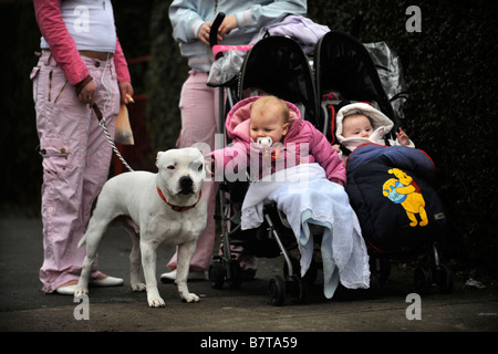 ZWEI JUNGE MÜTTER MIT BABYS UND EIN STAFFORDSHIRE BULL TERRIER IN DER SOUTHMEAD DISTRICT OF BRISTOL UK Stockfoto