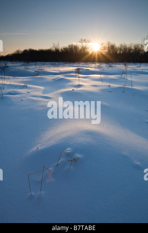 Untergehende Sonne über den Schnee, East Gwillimbury, Ontario, Kanada Stockfoto