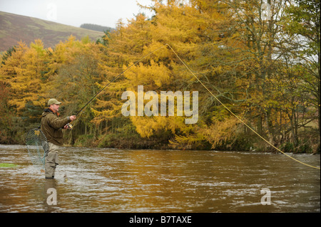 Fliegenfischen auf den Horseburgh schlagen Fluss Tweed Scotland Stockfoto