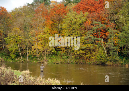 Fliegenfischen auf den Horseburgh schlagen Fluss Tweed Scotland Stockfoto