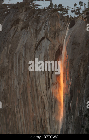 Horestail fällt im Yosemite-Nationalpark. dieser Fall selten leuchtet im Winter, wenn die untergehende Sonne die Kaskade beleuchtet. Stockfoto