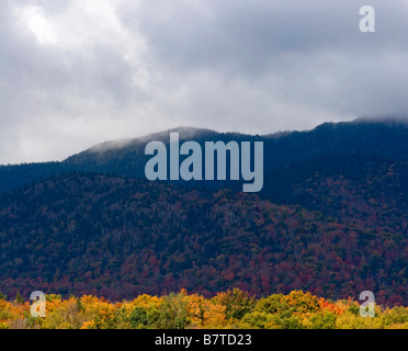 Herbstlaub in den Adirondacks New York 6. Oktober 2008 Stockfoto