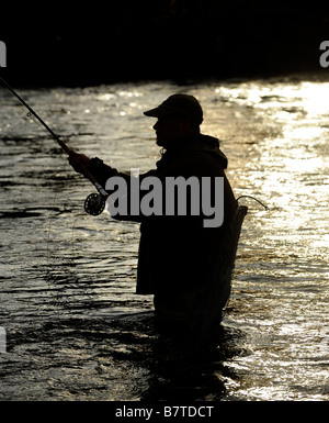 Fliegenfischen auf den Horseburgh schlagen Fluss Tweed Scotland Stockfoto