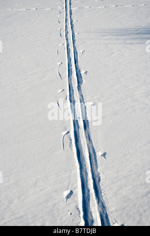 Ein Langlauf-Skifahrer hat Höhenunterschieds über gefrorenen See Monona in der Einsamkeit eine Spur Madison Wisconsin Stockfoto