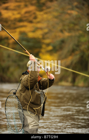 Fliegenfischen auf den Horseburgh schlagen Fluss Tweed Scotland Stockfoto