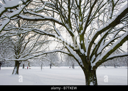 Die gemeinsame bedeckt Schnee Ealing London W5 Vereinigtes Königreich Stockfoto