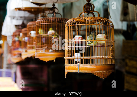 Vögel in Käfigen zum Verkauf, Yuen Po Street Bird Market hängenden Stockfoto