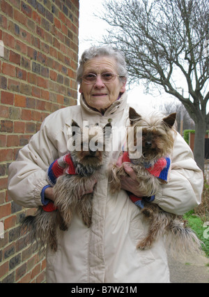 ältere Frau eingepackt an einem kalten Wintertag s ihre Hunde in gestrickte Mäntel Rückkehr aus einem flotten Spaziergang Stockfoto