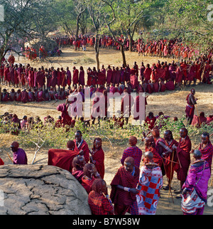 Kenia, Kajiado District, Ol Doinyo Orok. Eine große Ansammlung von Maasai Krieger im Rahmen einer Eunoto Zeremonie Stockfoto