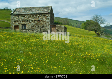 Scheune in der Nähe von Muker im Swaledale mit einer Wildblumenwiese Stockfoto