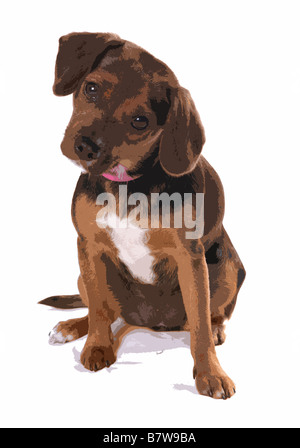 English Foxhound Welpen Popart Portrait illustration Stockfoto