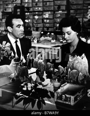 Die Schwarze Orchidee Jahr: 1958 USA Sophia Loren, Anthony Quinn Regie: Martin Ritt Stockfoto