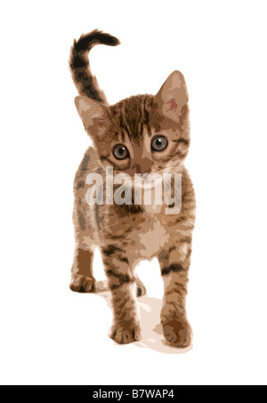Brown spotted Bengal Kitten Popart Portrait illustration Stockfoto