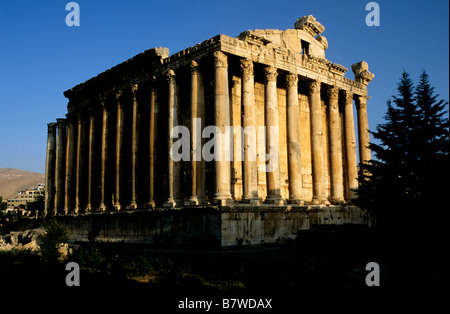 Der Tempel des Bacchus in Baalbek in der Bekaa-Tal, Libanon Stockfoto