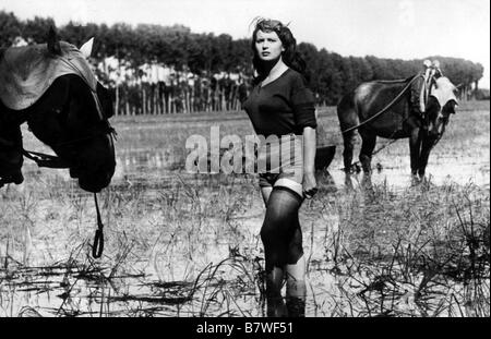 Riso Amaro Bitterer Reis Jahr: 1949 - Italien Silvana Mangano Regie: Giuseppe De Santis Stockfoto