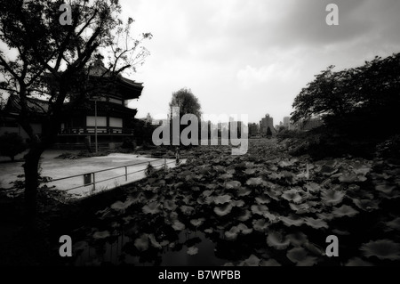 Benten-Do Tempel Haupthalle vor Lotusteich. Ueno-Park. Tokyo. Japan Stockfoto