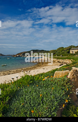 Tresco. Isles of Scilly Cornwall England UK Stockfoto