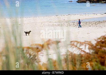 Eine Frau, die ihrem Hund Pentle Bay Strand Tresco Isles of Scilly Cornwall England UK entlang spazieren Stockfoto