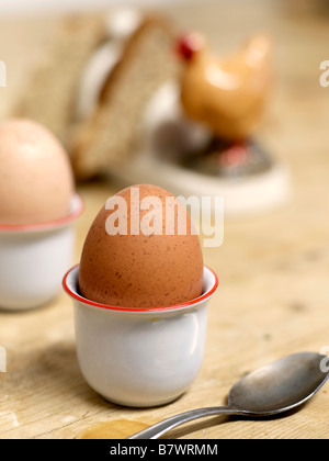 Weich gekocht, Freilandhaltung, Bio-Eiern in Eierbecher mit Toast in einem Rack Toast serviert. Was für ein schönes Frühstück. Stockfoto