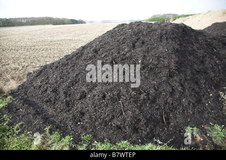 Haufen organischer Kompost Dünger Dünger von Ackerfläche Sutton Suffolk England Stockfoto