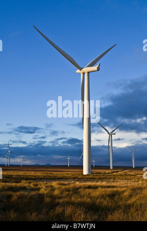 dh Causeymire Wind Farm ELEKTRIZITÄT CAITHNESS Scotland Npower Renewables Power RWE Wind Turbine Farms Windpark uk erneuerbare Winterturbinen Stockfoto