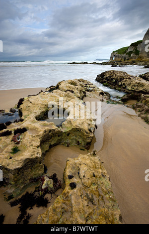 Coastal Felsformationen bei Whitepark Bay County Antrim Northern Ireland Stockfoto