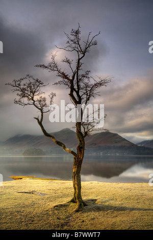 Am frühen Morgennebel löscht aus Derwentwater im Lake District Stockfoto