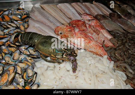 Gesehen in einem kalten Schrank ein spanisches Restaurant frischen Fisch und Meeresfrüchte gefangen im Atlantischen Ozean vor der Insel Teneriffa Stockfoto