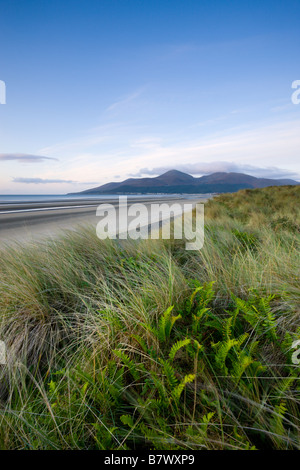 Murlough Nature Reserve mit Blick auf Dundrum Bucht und die Berge von Mourne jenseits County Down Northern Ireland Stockfoto