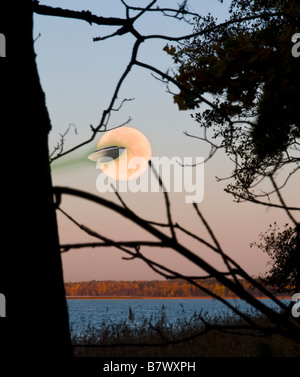 UFO fliegt vor einer großen orange Vollmond Stockfoto