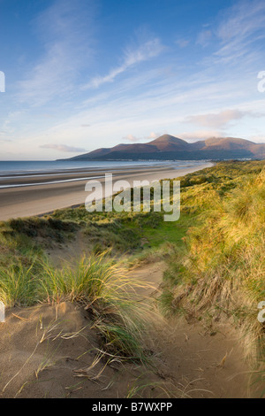 Sanddünen im Murlough Naturreservat mit Blick auf Dundrum Bucht und die Berge von Mourne jenseits County Down Northern Ireland Stockfoto