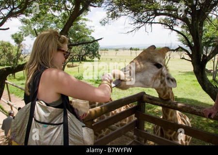 Frau füttert Giraffe Game Park in Südafrika Stockfoto