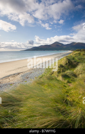 Sanddünen am Murlough neben Dundrum Bay mit die Berge von Mourne im Hintergrund County Down Northern Ireland Stockfoto