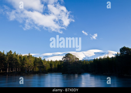 Man Nan Geadas, Rothiemurchus, Schottland Stockfoto