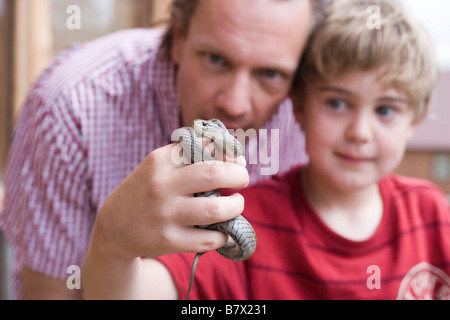 acht Jahre alter Junge mit seinem Vater das Strumpfband-Schlange, die, das er in Colorado, USA gefangen Stockfoto