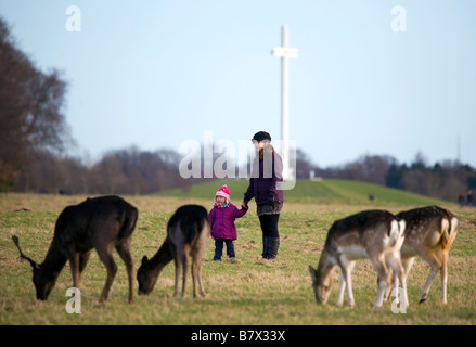 Mutter und Tochter schauen Damhirsch Dama Dama Beweidung auf 15 Hektar im Phoenix Park Dublin mit dem päpstlichen Kreuz Stockfoto