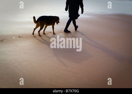 Hund nach Person am Strand Stockfoto