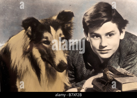 Lassie Come Home Jahr: 1943 USA Roddy McDowall Regie: Fred M. Wilcox Stockfoto