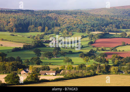 Eine hügelige Landschaft im Frühherbst in der Nähe der Ortschaft Luccombe Exmoor Nationalpark Somerset England Stockfoto