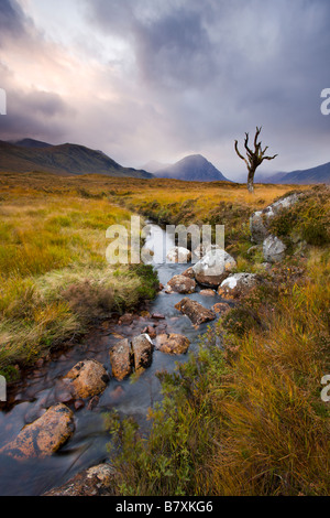 Bach durch Rannoch Moor Wildnis Hochland Schottland Stockfoto