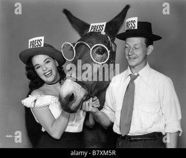 Francis deckt die große Stadt Jahr: 1953 USA Donald O'Connor, Yvette Duguay Regie: Arthur Lubin Stockfoto