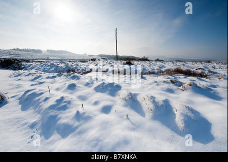 Der alte Holzstab ein Marker für Moorland Reisende im unberührten Schnee auf dem Longshaw Anwesen in Derbyshire "Great Britain" Stockfoto