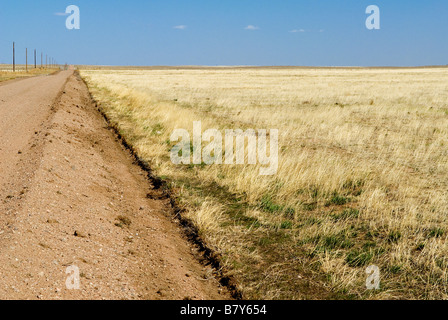 ein erhöhter roten Feldweg verläuft durch die vergilbten semi-ariden Grasland der Ost-Colorado Stockfoto
